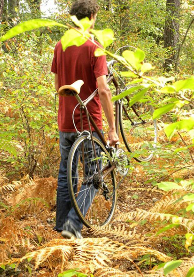 Wood’Insane Design