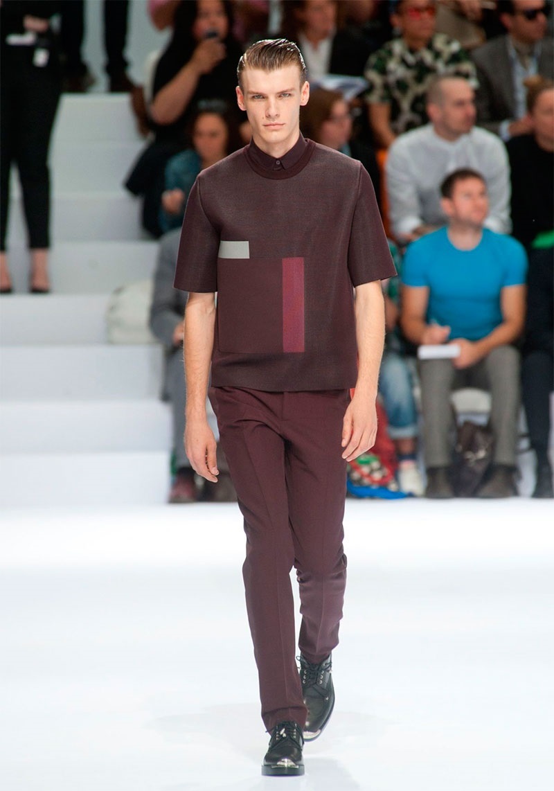 Dior Homme İlkbahar / Yaz 2014