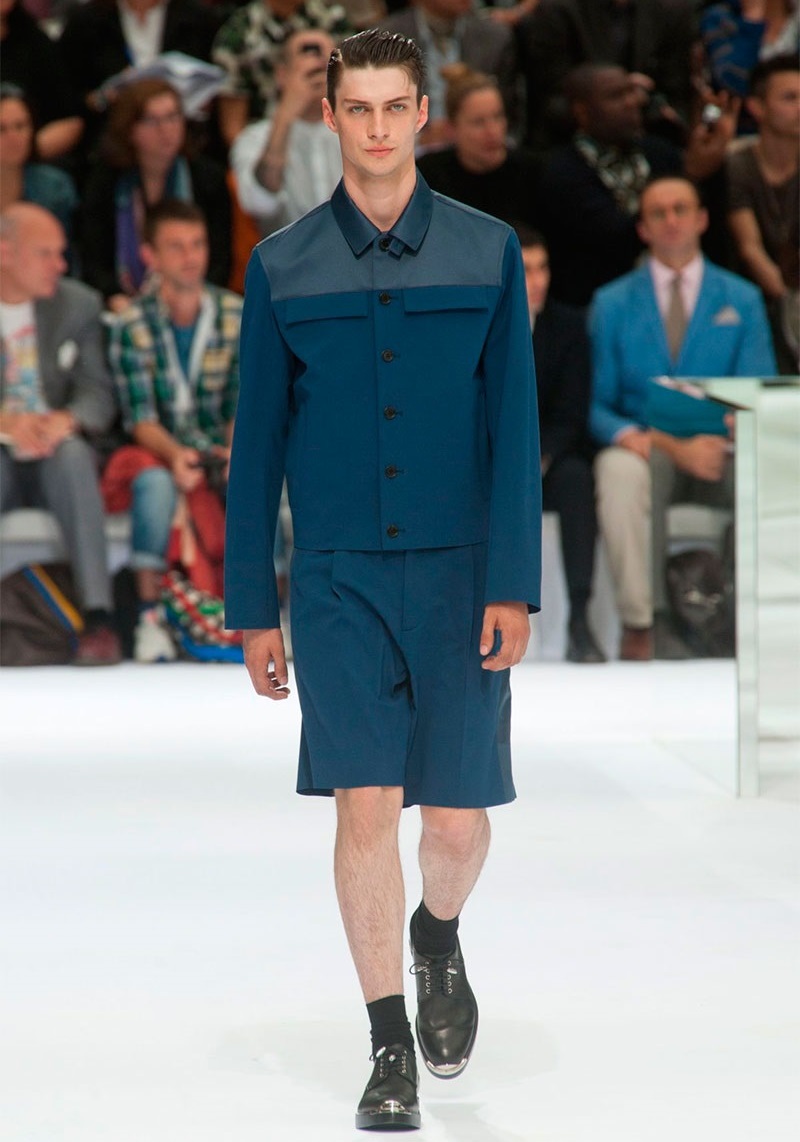 Dior Homme İlkbahar / Yaz 2014