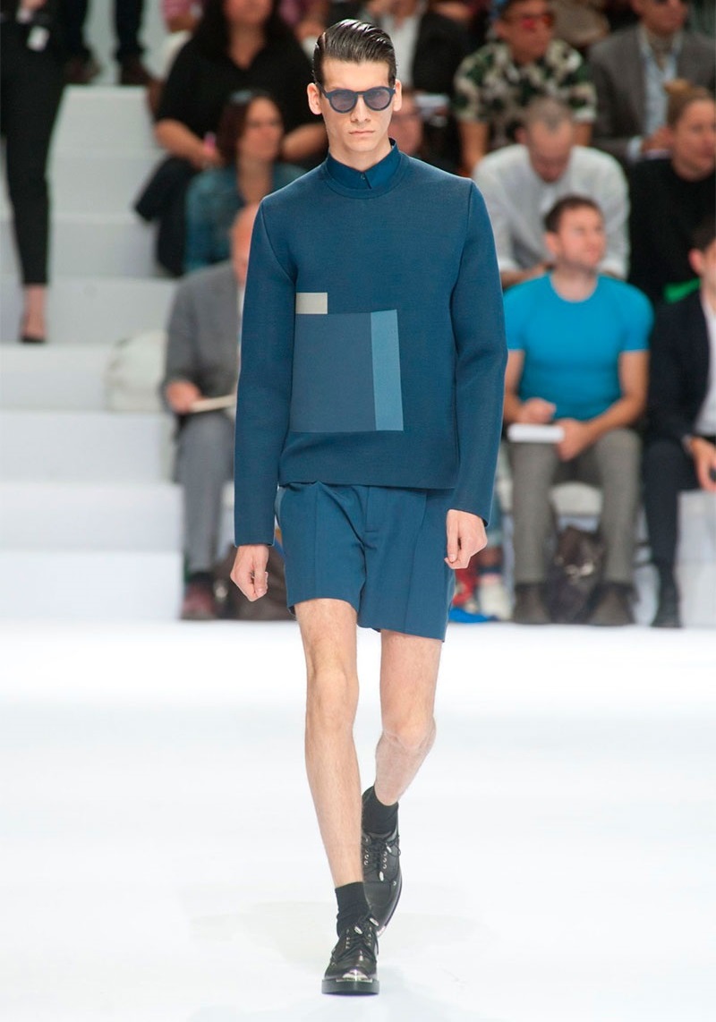 Dior Homme İlkbahar / Yaz 2014