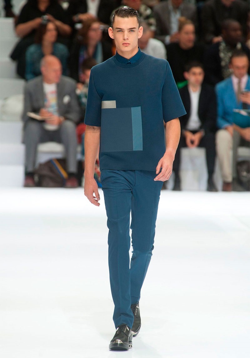 Dior Homme İlkbahar / Yaz 2014