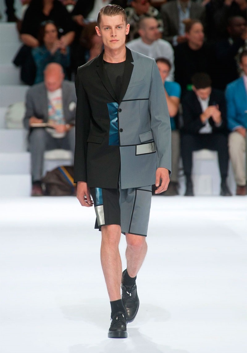 Dior Homme İlkbahar / Yaz 2014
