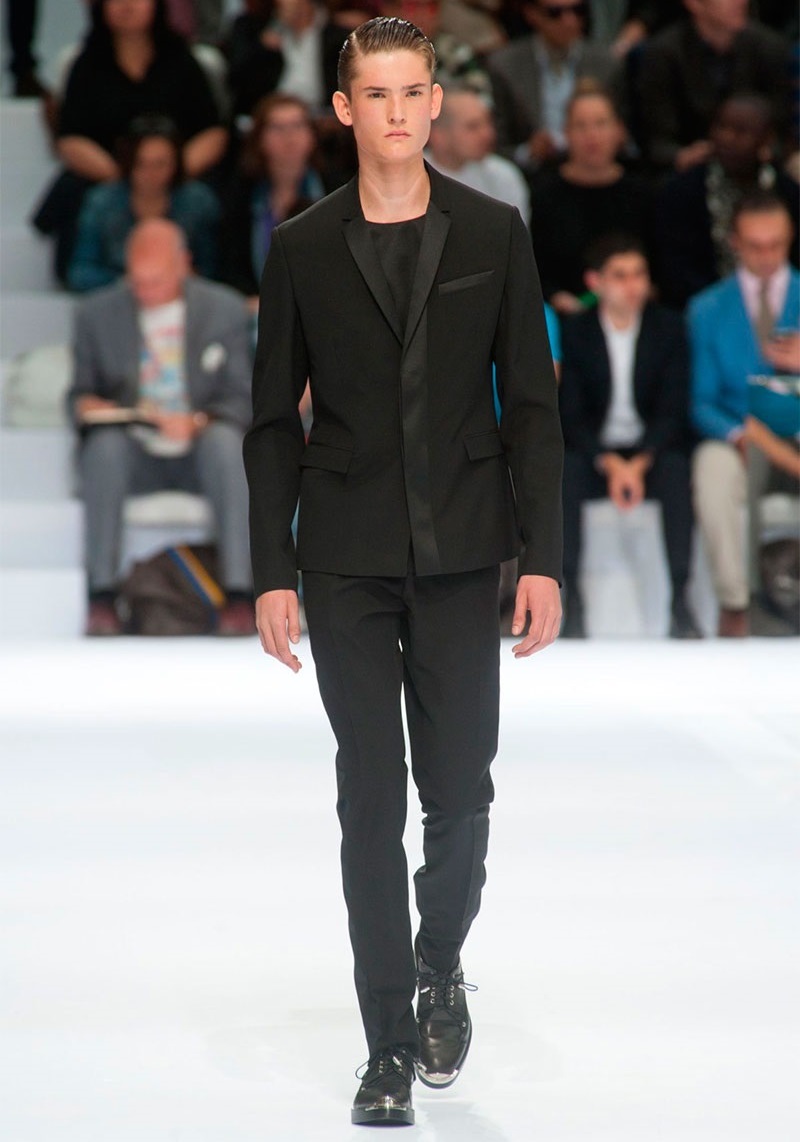Dior Homme İlkbahar / Yaz 2014
