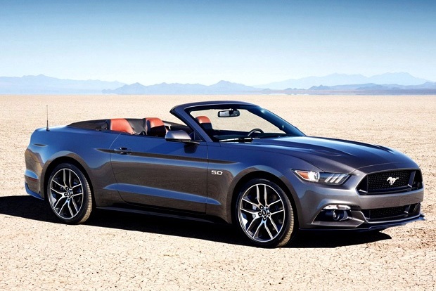 New York'un yıldızları