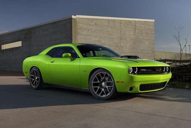 New York'un yıldızları