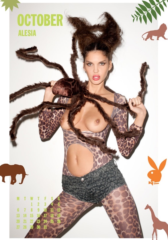 Seksi Diesel takvimi