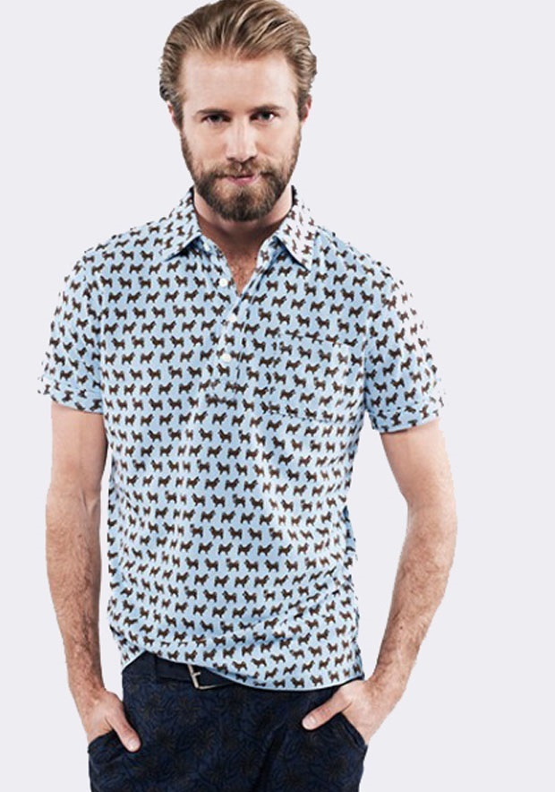 Poloda eklektik hareketler