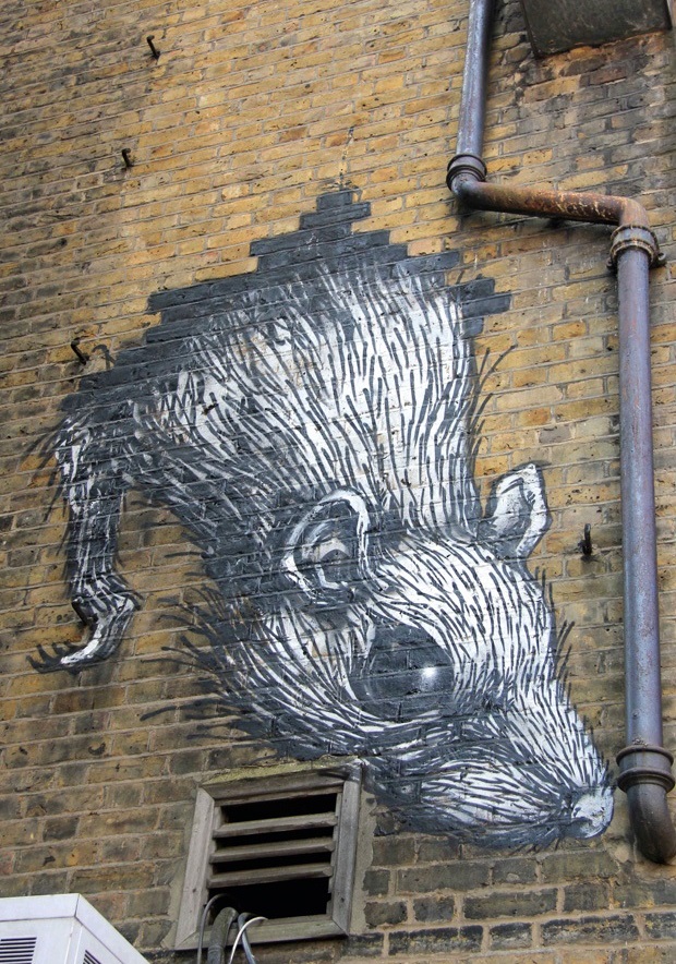 Arka sokaklarda neler oluyor?