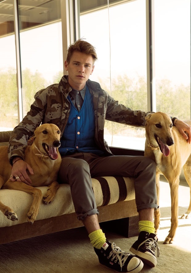 Yeni California tarzı