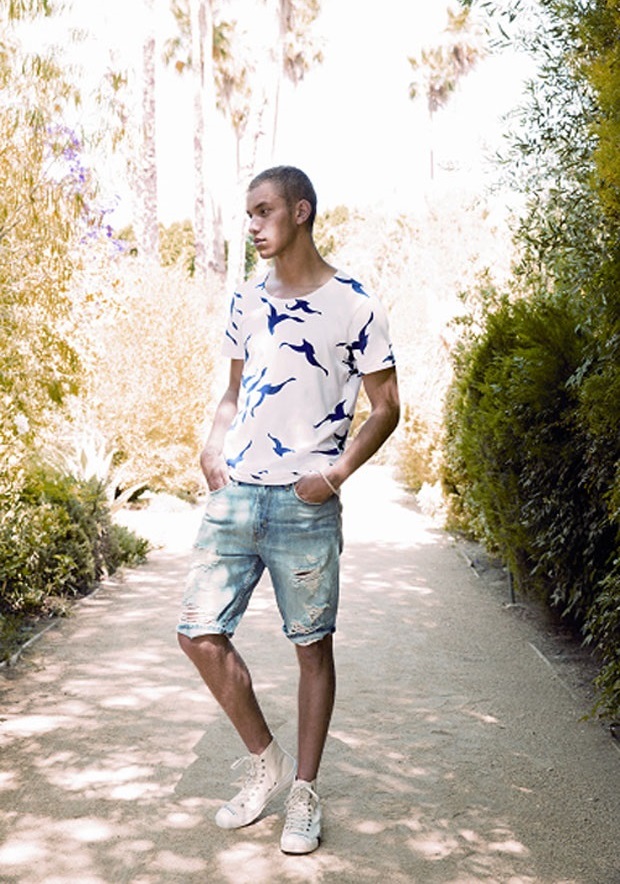 Yeni California tarzı