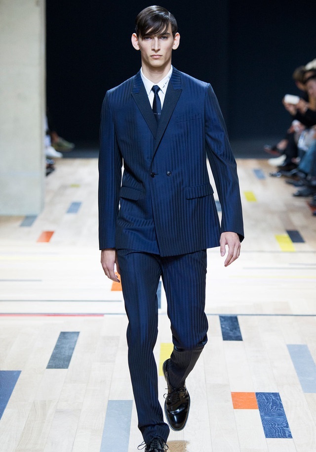Dior Homme İlkbahar / Yaz 2015