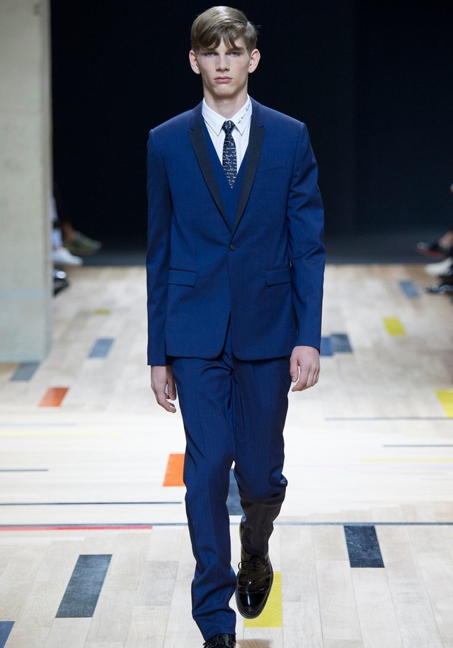 Dior Homme İlkbahar / Yaz 2015