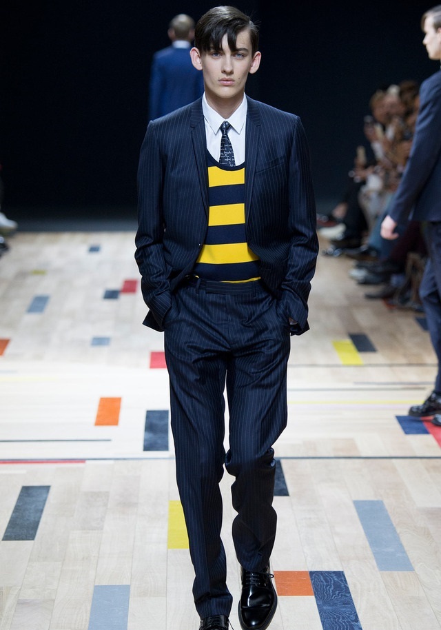 Dior Homme İlkbahar / Yaz 2015