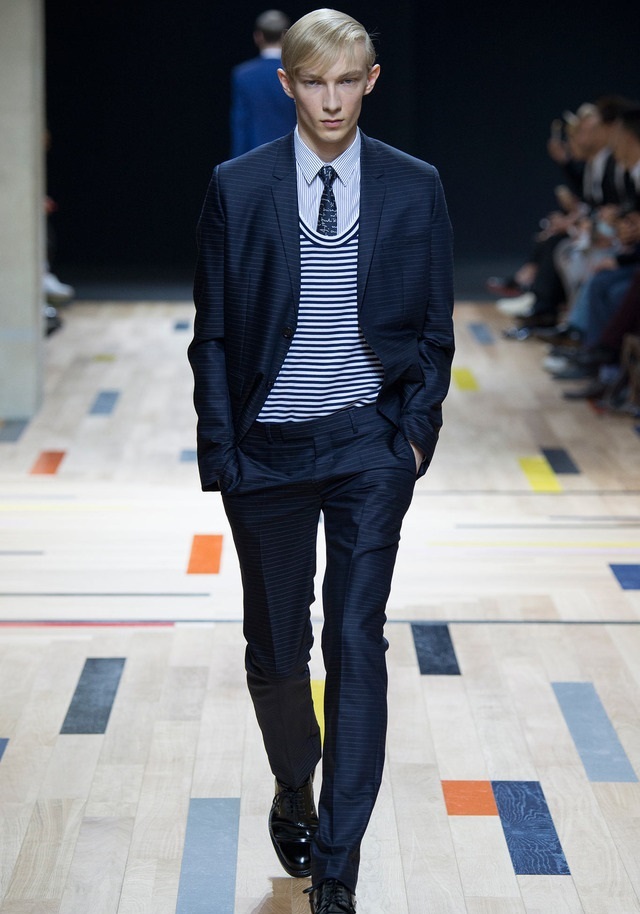 Dior Homme İlkbahar / Yaz 2015