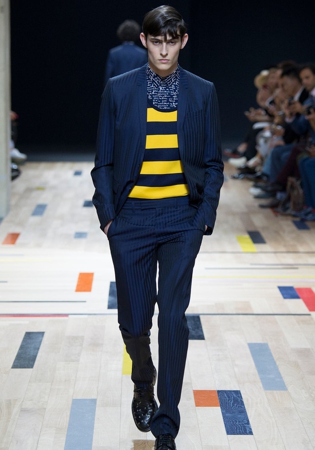 Dior Homme İlkbahar / Yaz 2015