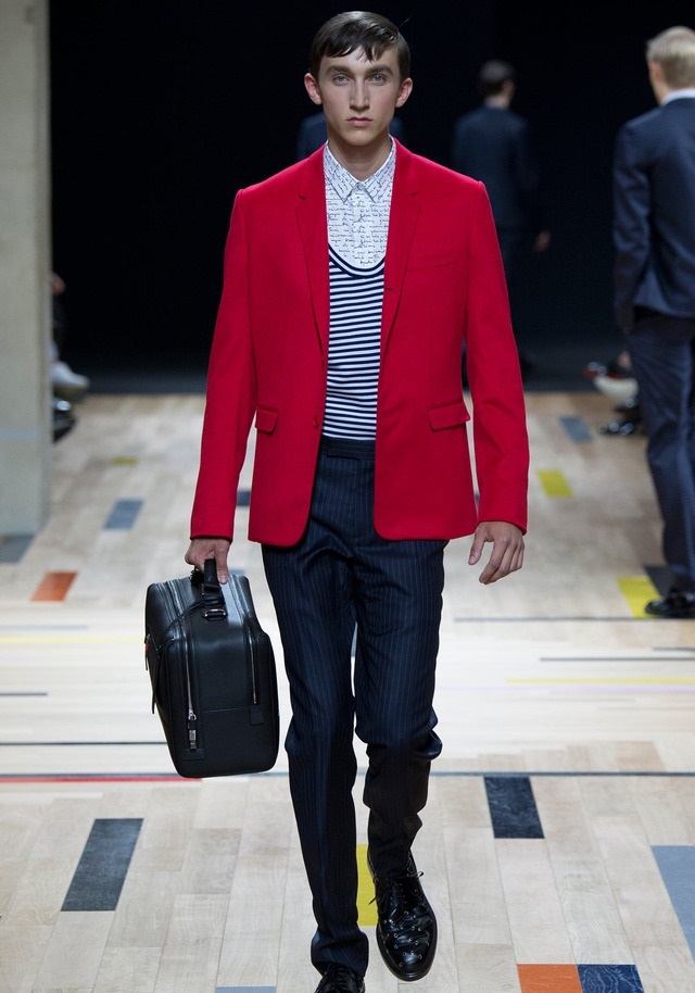 Dior Homme İlkbahar / Yaz 2015