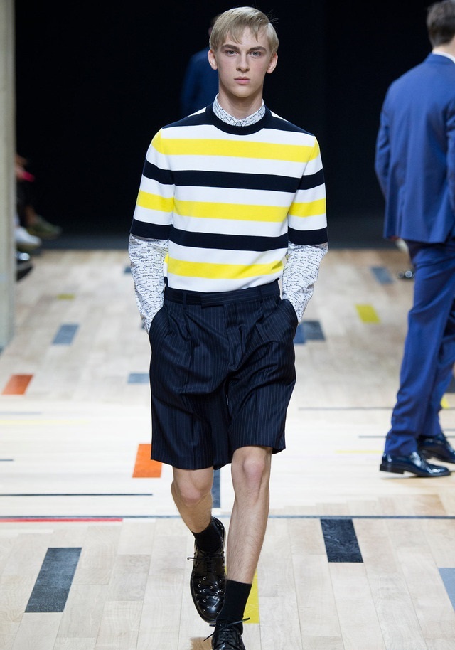 Dior Homme İlkbahar / Yaz 2015