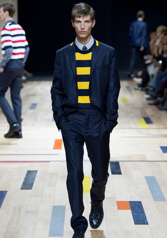 Dior Homme İlkbahar / Yaz 2015