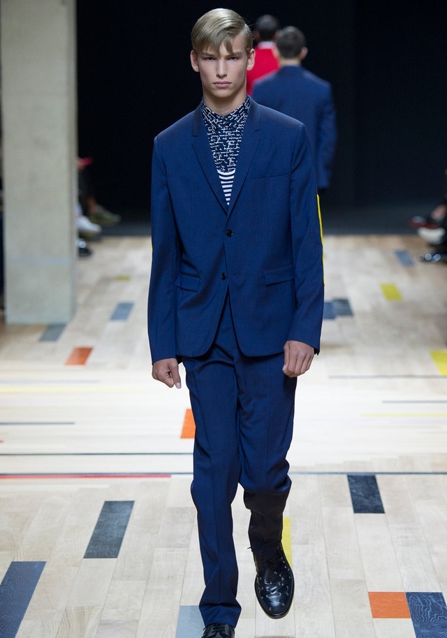 Dior Homme İlkbahar / Yaz 2015