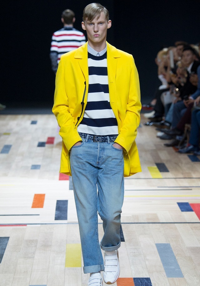 Dior Homme İlkbahar / Yaz 2015