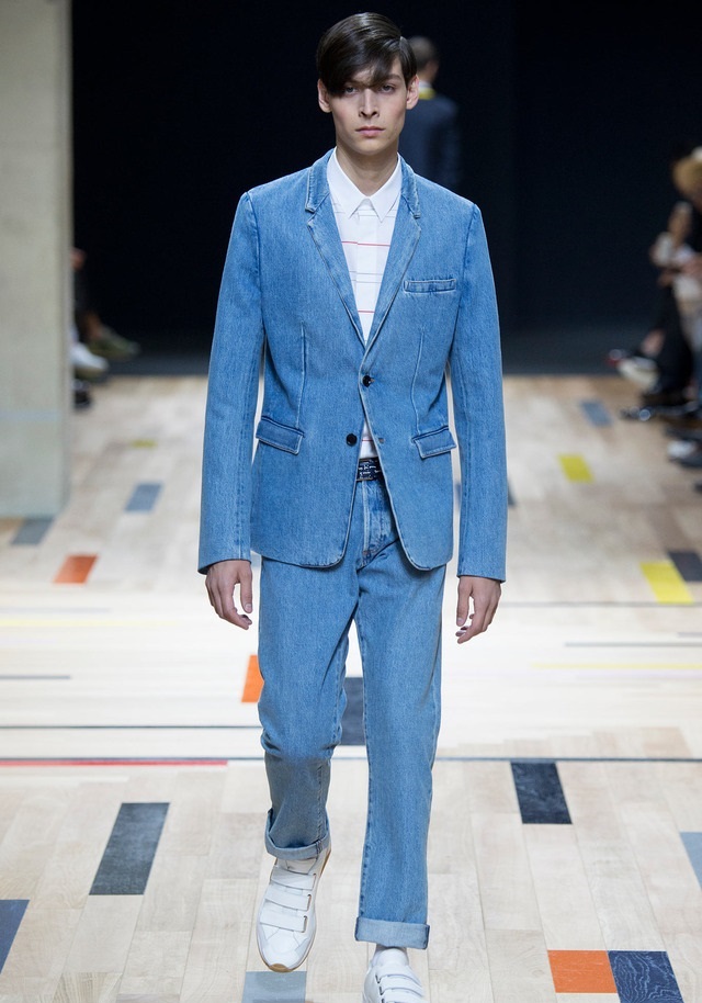 Dior Homme İlkbahar / Yaz 2015