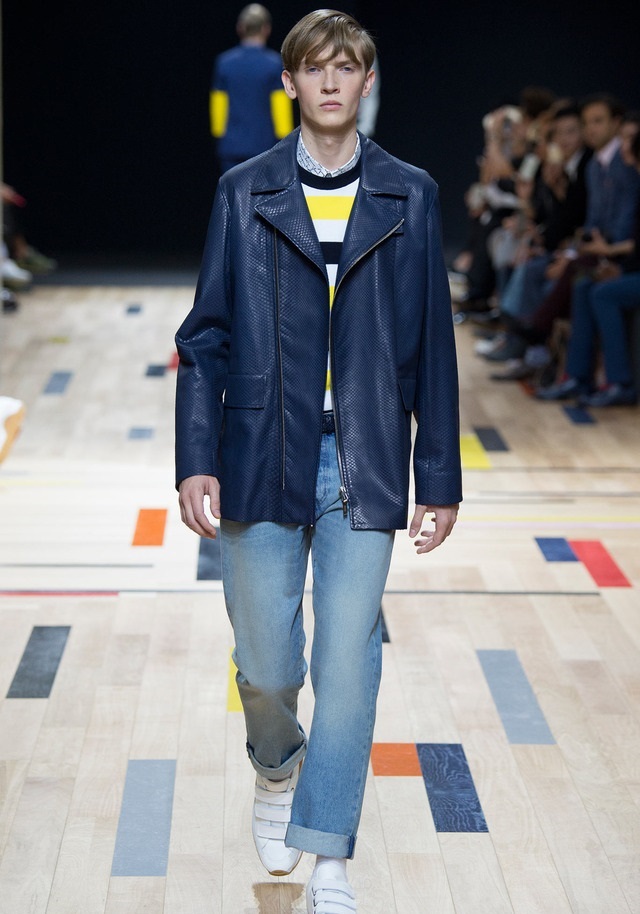 Dior Homme İlkbahar / Yaz 2015