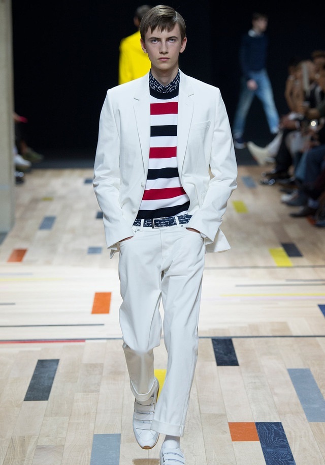 Dior Homme İlkbahar / Yaz 2015