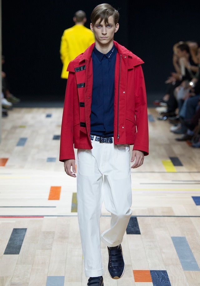 Dior Homme İlkbahar / Yaz 2015