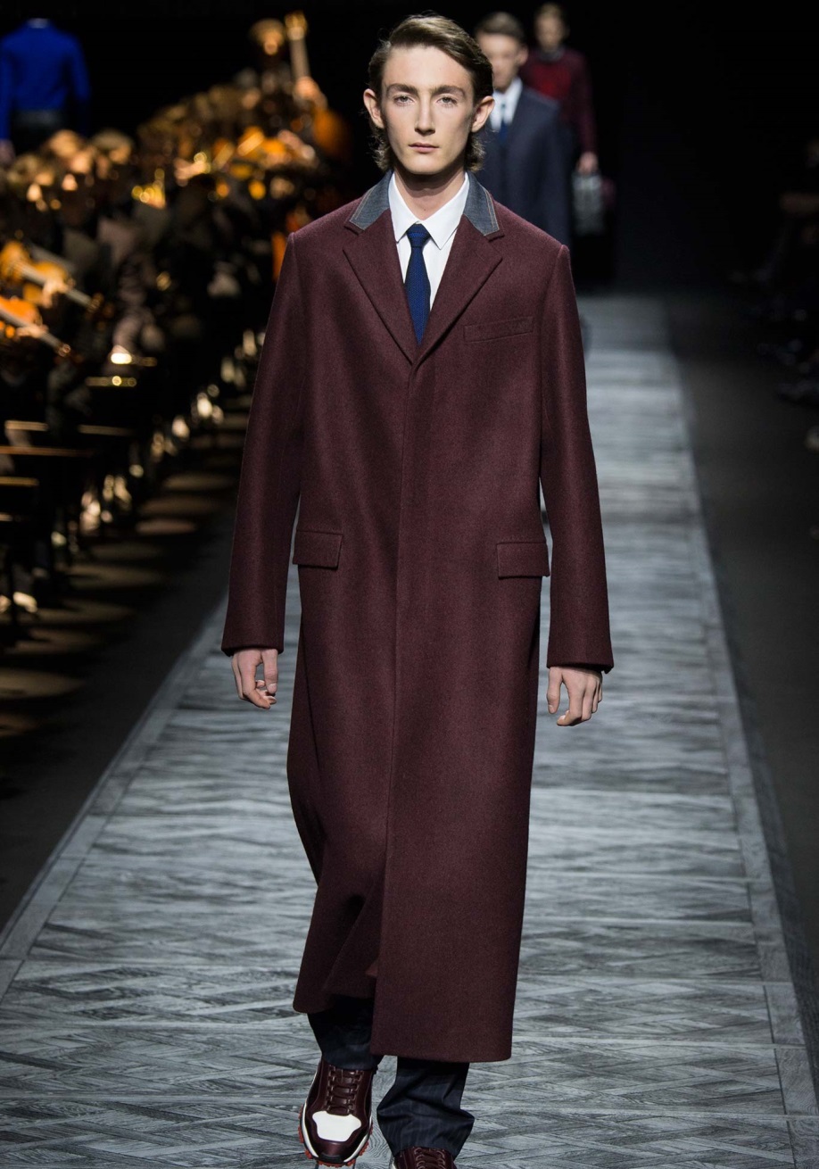Dior Homme Sonbahar / Kış 2015