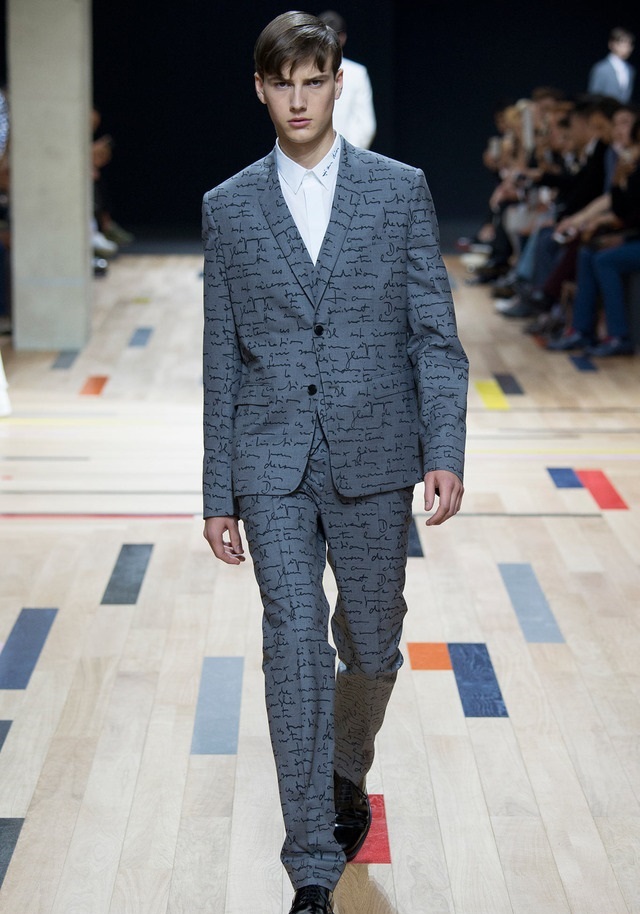 Dior Homme İlkbahar / Yaz 2015