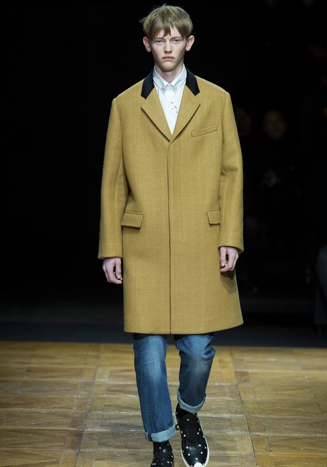 Dior Homme Sonbahar / Kış 2014