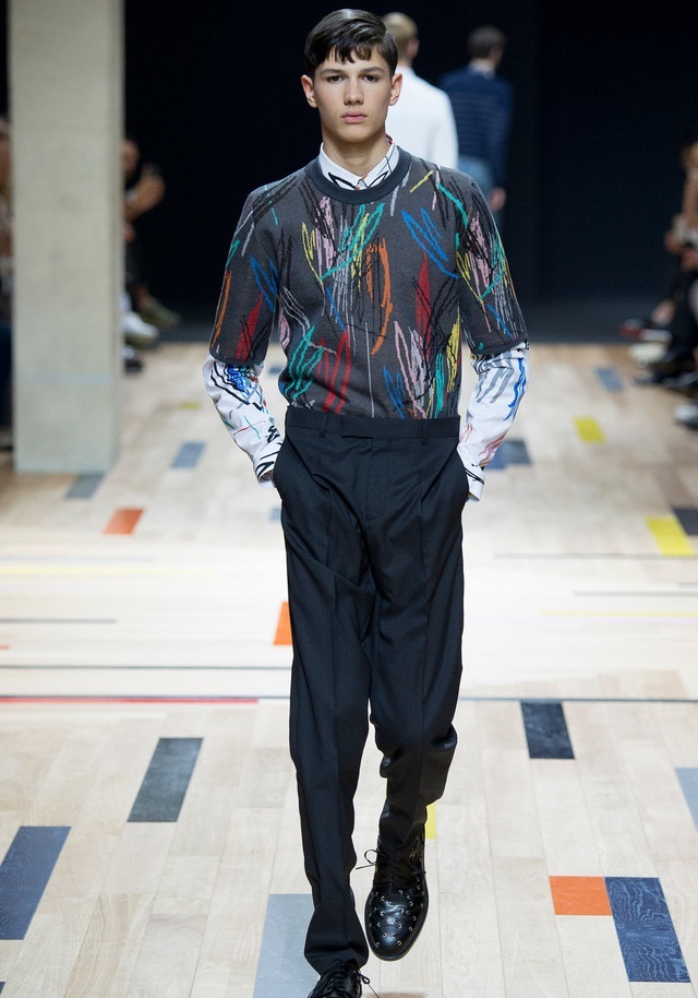 Dior Homme İlkbahar / Yaz 2015