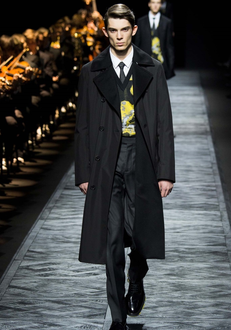 Dior Homme Sonbahar / Kış 2015