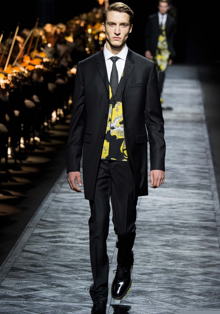 Dior Homme Sonbahar / Kış 2015