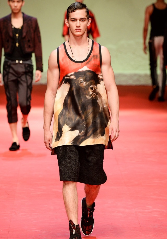 Dolce & Gabbana İlkbahar / Yaz 2015