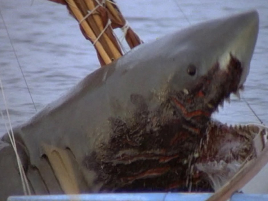 Jaws 2'deki ikinci köpekbalığı