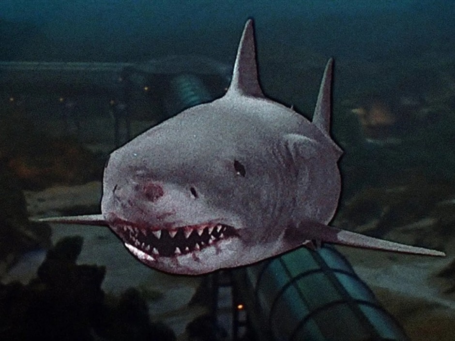 Jaws 3-D'den 3 boyutlu köpekbalığı