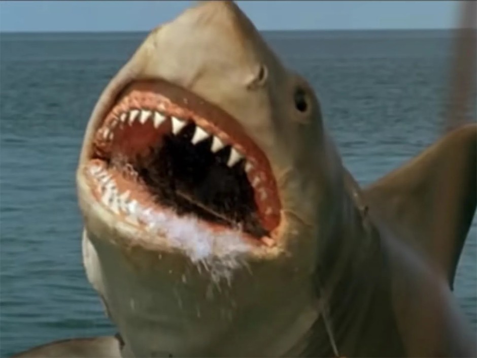 Jaws: The Revenge filmindeki psişik köpekbalığı