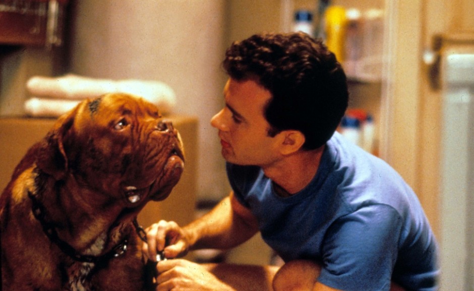 Turner & Hooch (1989)