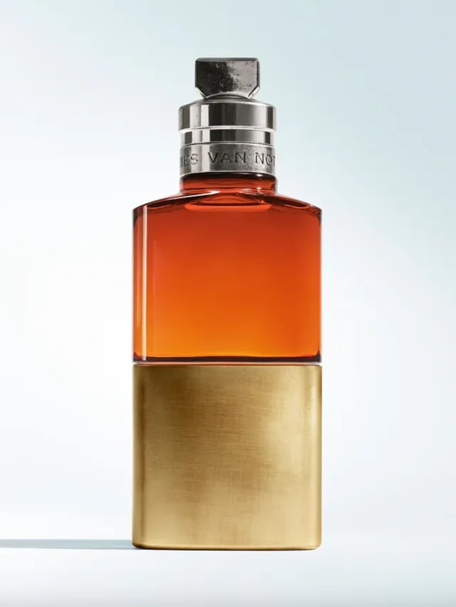 Havana Gold, Dries van Noten