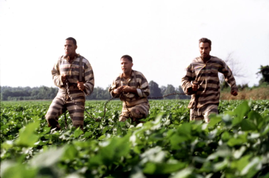 En İyi Coen Kardeşler Filmleri, Kesin Sıralama