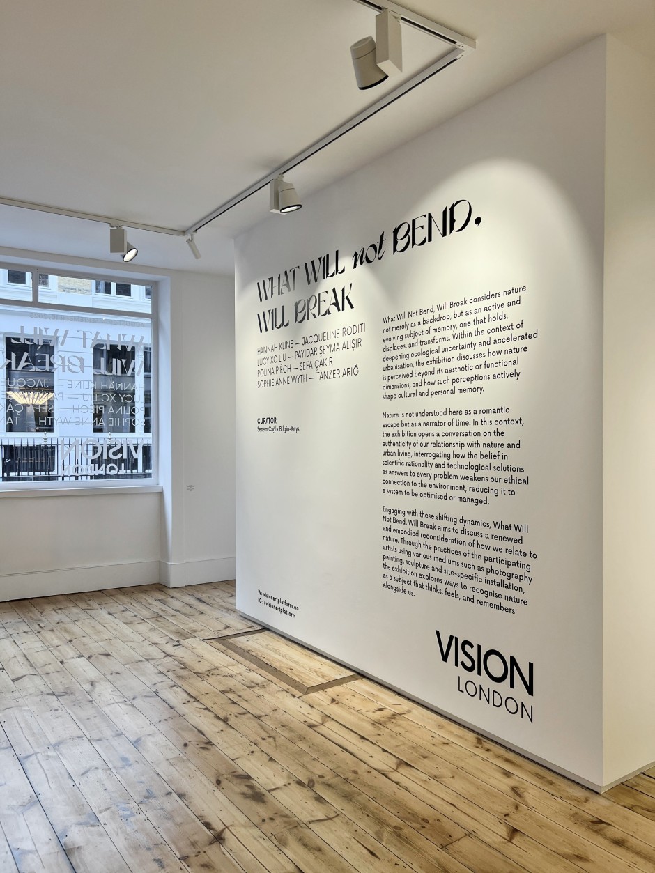 Vision Art: “What Will not Bend, Will Break”