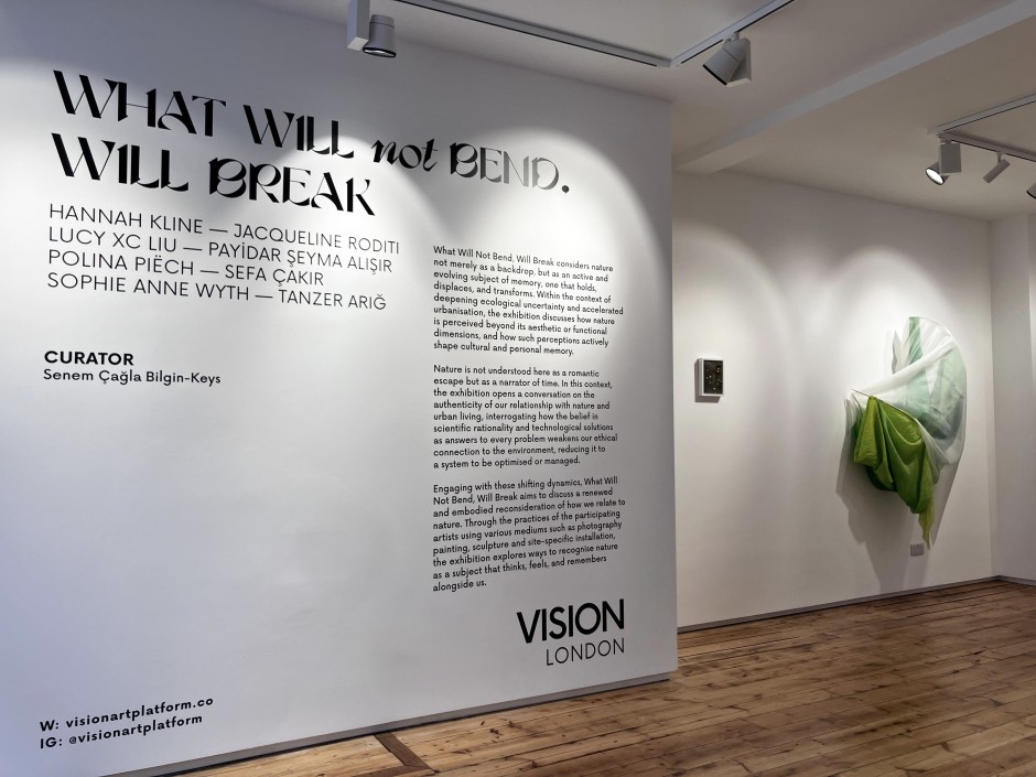 Vision Art: “What Will not Bend, Will Break”