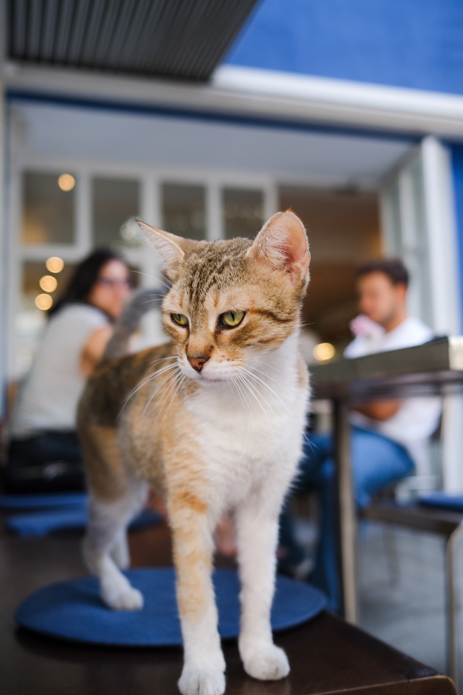 Nişantaşı’nda Günün Ritmini Yakalayan Bir Durak: Servant