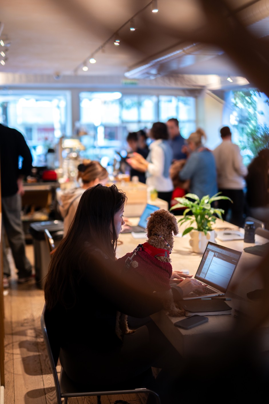 Nişantaşı’nda Günün Ritmini Yakalayan Bir Durak: Servant