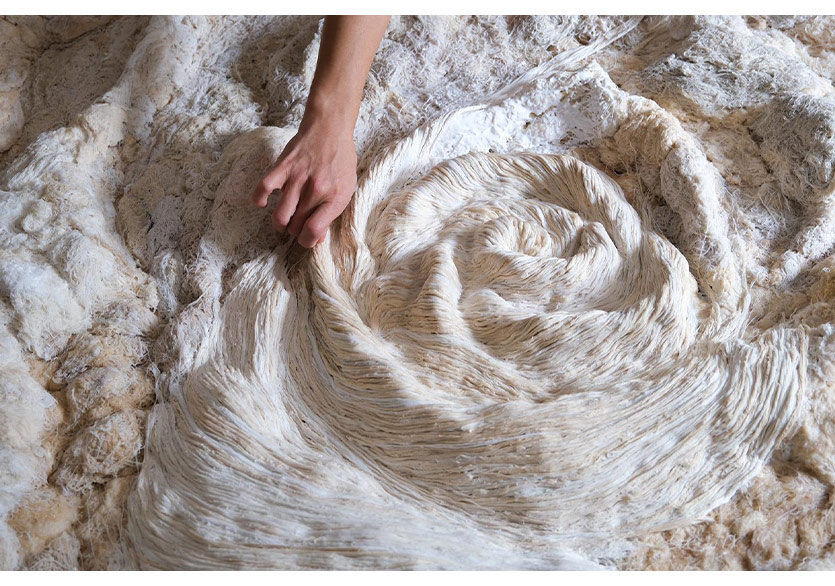 Kış Sezonu Tasarım, Etkinlik, Şehir Haberleri