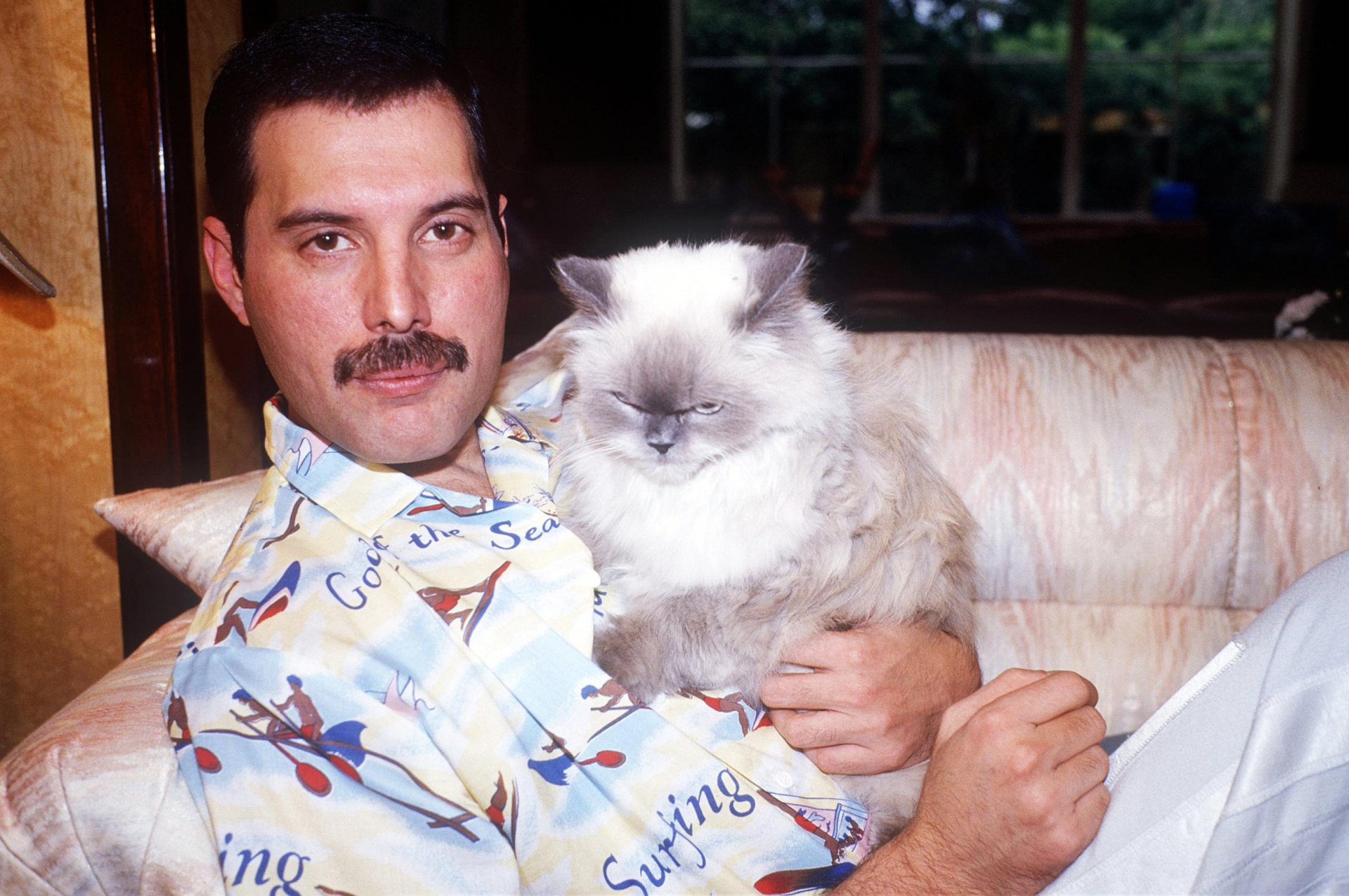 Doğum gününe özel: Freddie Mercury ve kedileri