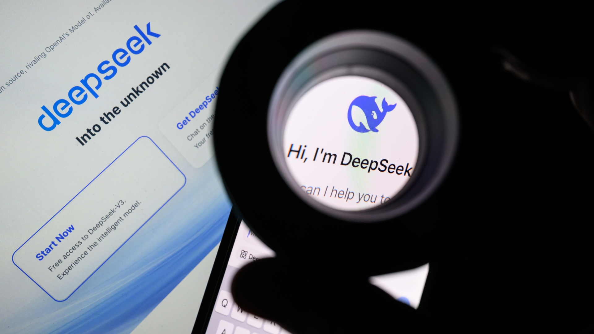 DeepSeek nedir