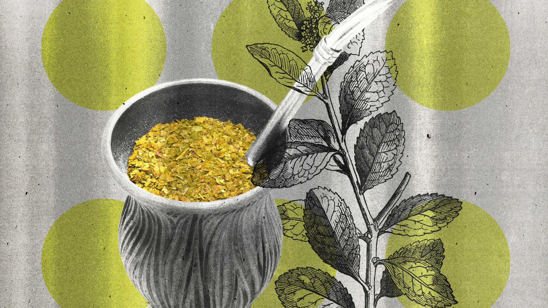 Kahve Gibi Ama Yan Etkisiz: Yerba Mate Çayının Faydaları