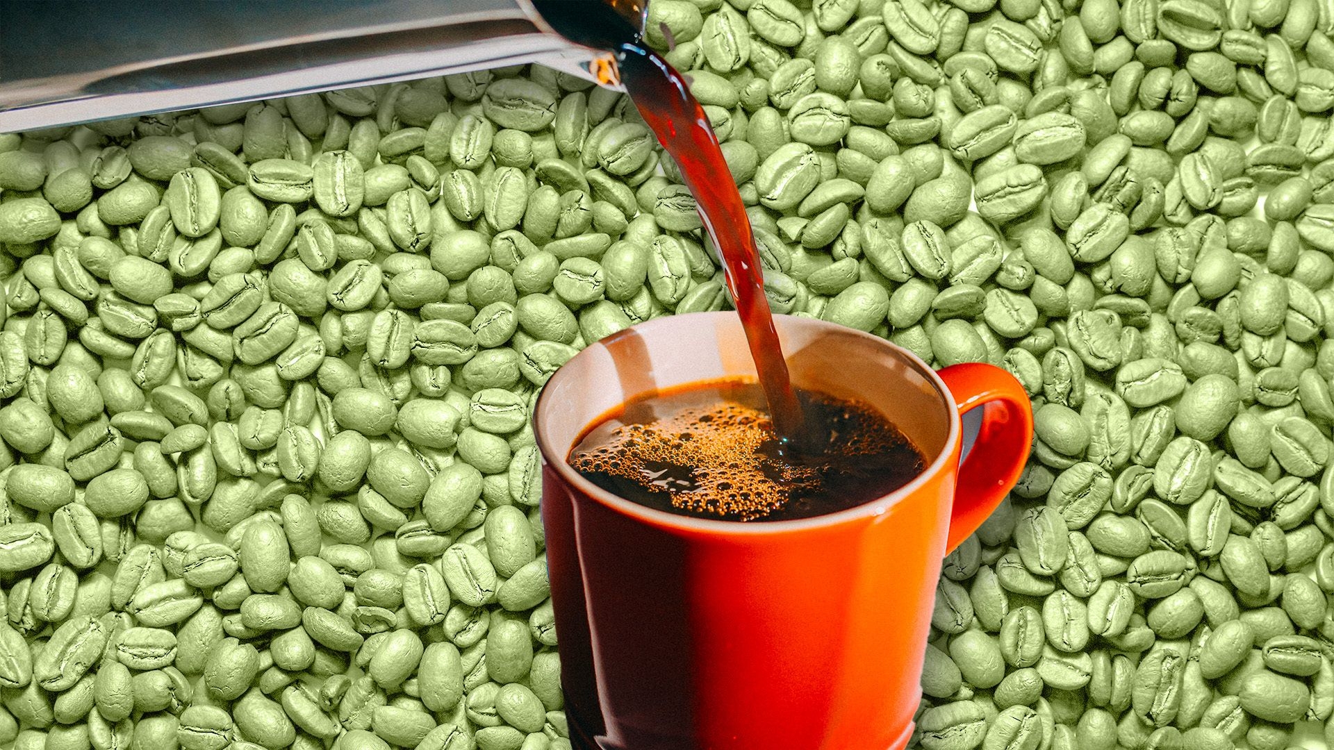 yeşil kahve faydaları